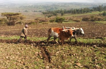 Farming_in_Ethiopia